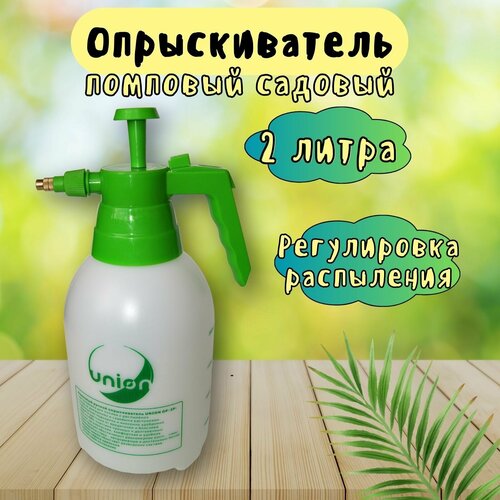 ���� ������������� �������� ������ 2 ����� ������ ������
