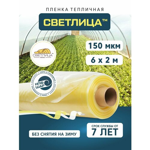 ���� ������ ��� ������ � �������� �������� 6x2 �, 150 ���, ����������, ����������� ������ ������