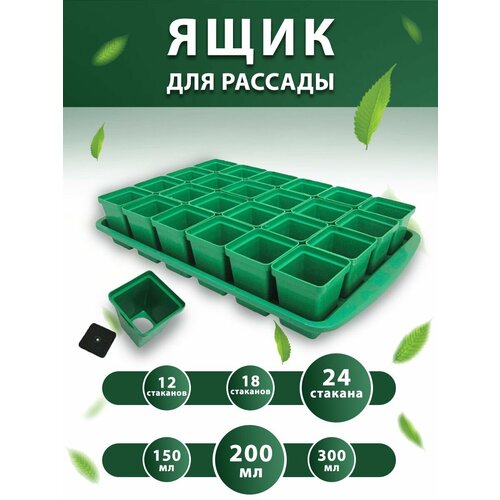 ���� ����� ������� ��� ������� � �������� 0,2 � 24 �� ������ ������