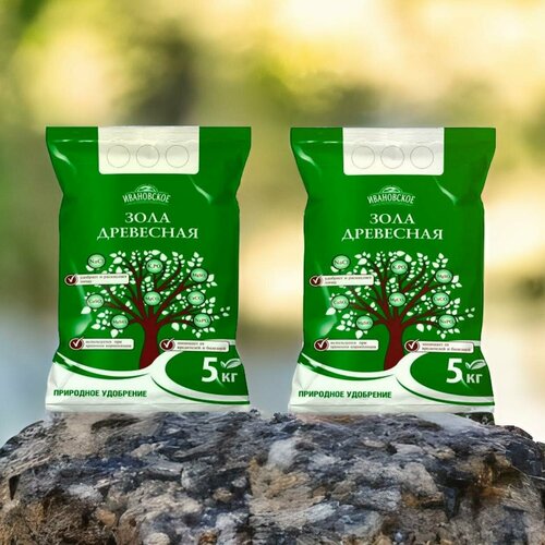 ���� ���� ��������� 5 �� / 2�� ������ ������