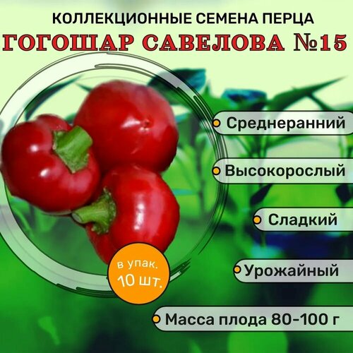 ���� ������������� ������ ����� �������� ������� �������� �15 ������ ������