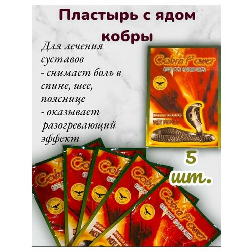 ���� �������� �������������� � ���� ����� 5 �� ������ ������