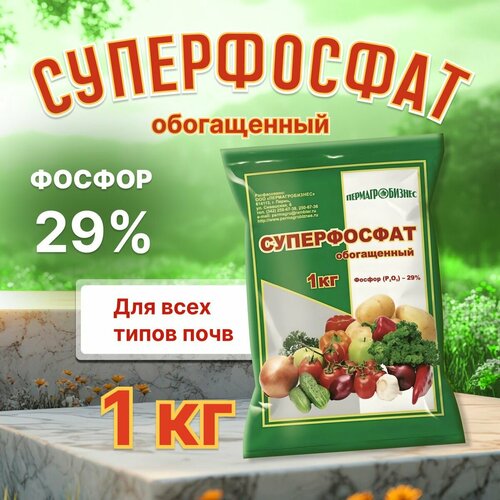 ���� ������� ��������� ������������� ����������� 1�� ������ ������