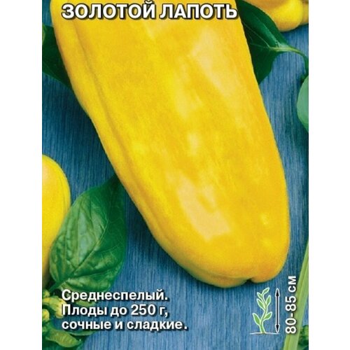 ���� ����� ������� ������� ������ ������ ������