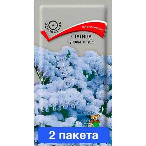 ���� ����� ������� ������ ������� 2 ������ ������ ������