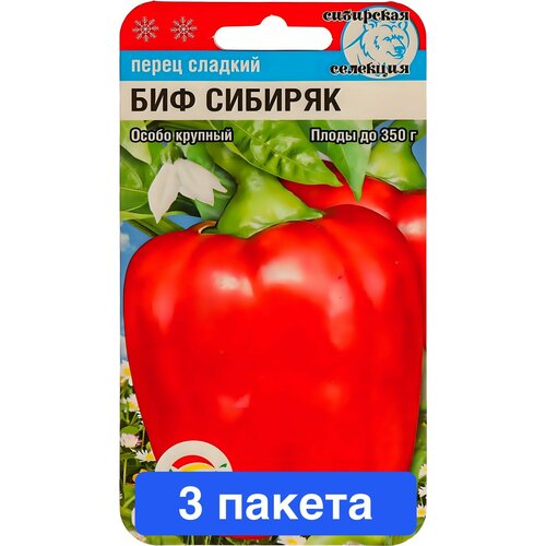 ���� ������ ������ ��������� ��� 