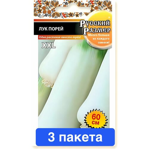 ���� ������ ������ ������� ������ 