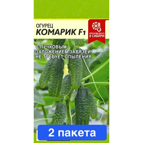 ���� ������ ������ ������ ����� 