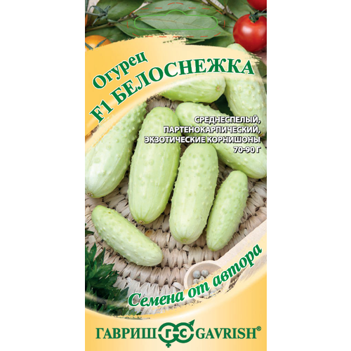 ���� ������ ������ ���������� F1 10�� (������) ����� ������ ������