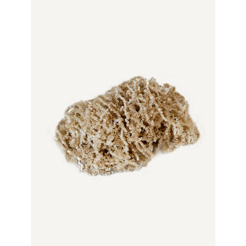 ���� ������� �������� ����������� 50�, ��������, ��������. �������, �������� �������, ��� ����������� ������ ������