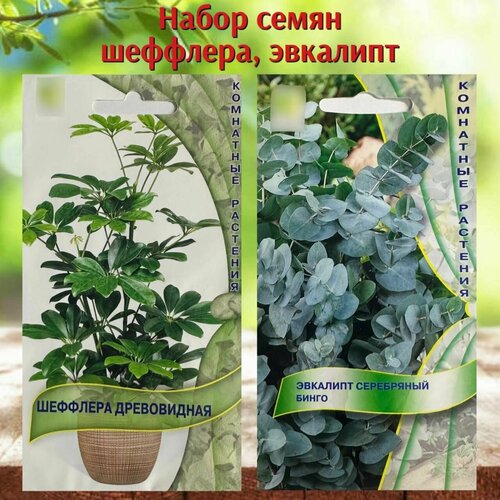 ���� ������ ��������� �������� �������� � �������� 2 �������� ������ ������