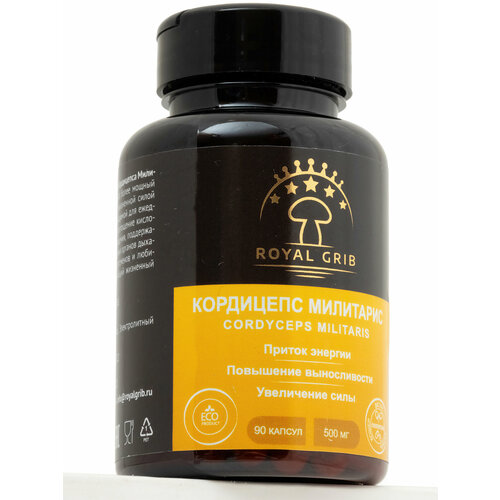 ���� ��������� ��������� �������, ���� ��� ������� � ���������� / ������� � �������� ���� / 90 ������, 500 �� ������ ������