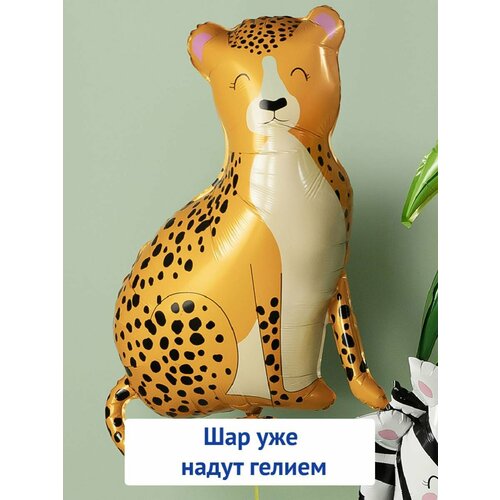 ���� ��������� ��� � ������ �������������� ������ ������ ������ ������ ������