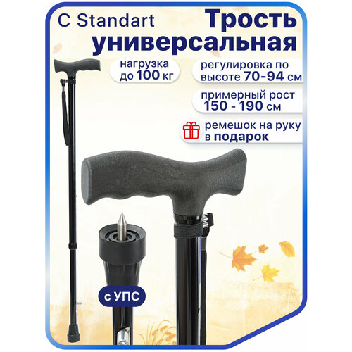 ���� ������ ������� C Standart c ���������������� �������� Ice Tip, ������ ������ ������