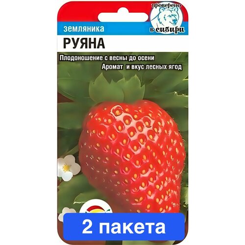 ���� ������ ������ ��������� ��� 