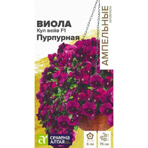 ���� ������ ����� ��������� 