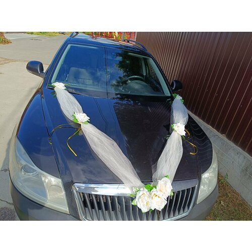 ���� ��������� ����� �� ����� ���������� ������ ������