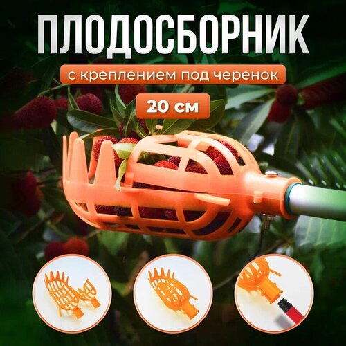 ���� ������������ ��� �������: �����, ����, �����, �����, ���������. ������������ ����������� 20�� (���������) ������ ������