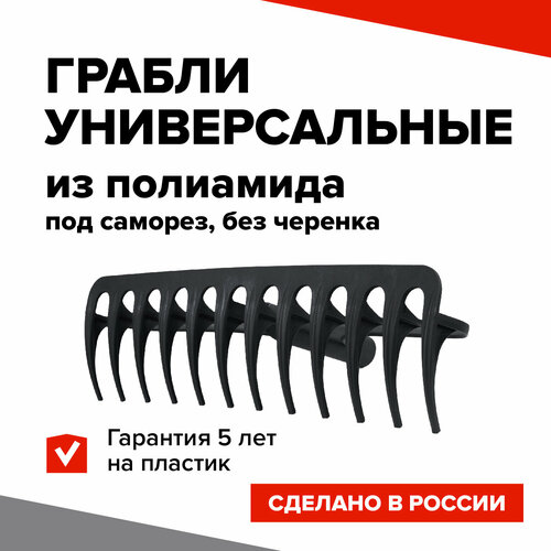 ���� BARN ������ ������������� ��� ������� ������ ������