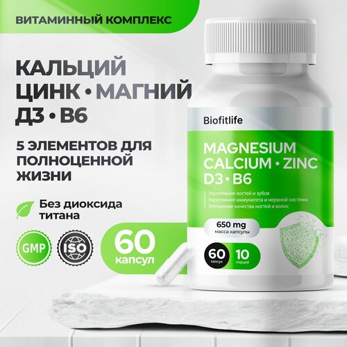 ���� ������� ������ ���� ������� �3 �6, 60 ������ 650 �� ������ ������