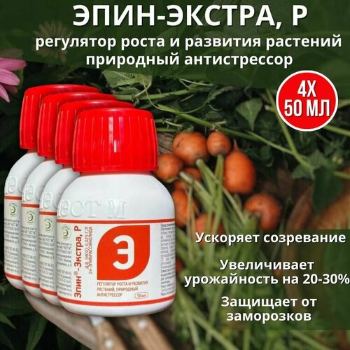 ���� ����-������ ��������� ����� � �������� ��������, ��������� ������������ 50 ��, 4 �� ������ ������