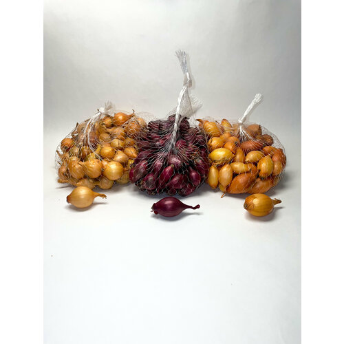 ���� ����� ���-����� ����������� ����� 10/21 (0,25 ��), ��� ����� 8/21 (0,25 ��) � ������ 10/21 (0,25 ��) ������ ������