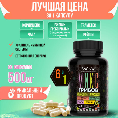 ���� ����� �� 6 ������ ��� ���������� - ������ ����������� �������� ����, ������ ���������� �������, ����, �����, ���������, �������� ������ ������