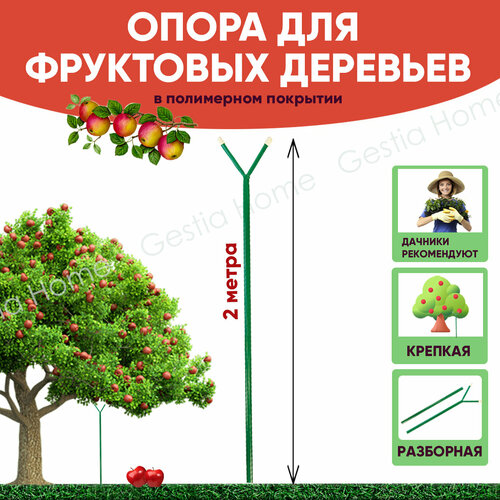 ���� ����� ������� ��� ��������� �������� 2 � Gestia Home ������ ������