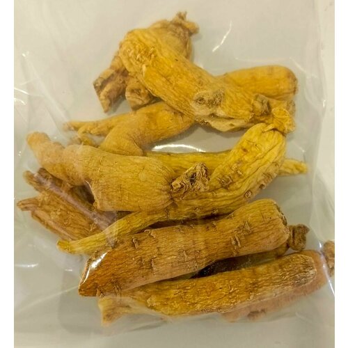 ���� �������� ������� ������ �����, 150�� ������������ �������� ������ ������