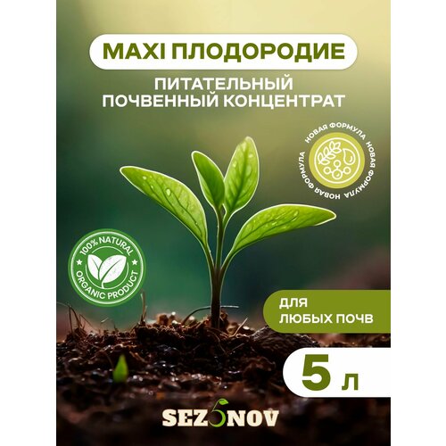 ���� ��������� ���������� MAXI ����������, ������������ �������, ��������� ��� ���� � �������, 5 � ������ ������