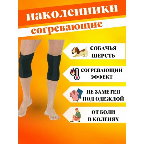 ���� �������� ����������� �� �������� ������, ������ 7 ������ ������