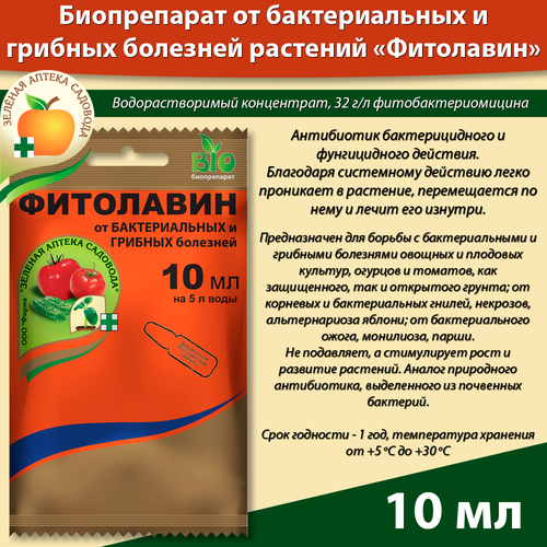 ���� �������� �� �������� ������ � ������ ��������� 10 �� ������ ������