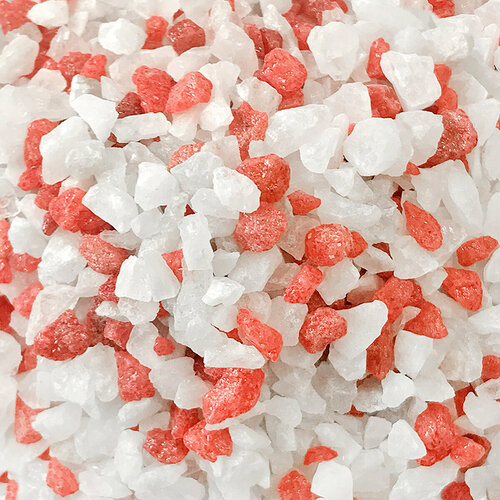 ���� ����������� ����� ��� ��������, ����������� � ��������, Zoo One, ��������� ��������, 