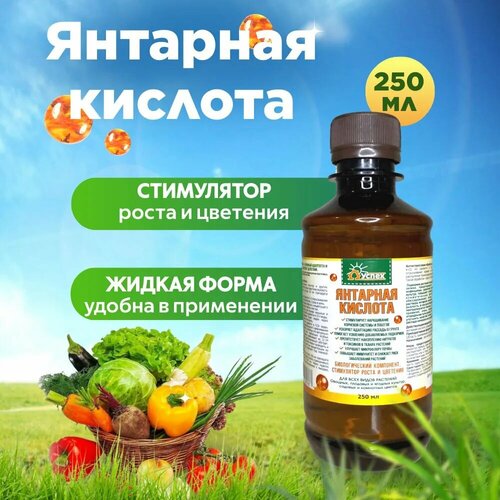 ���� ���������� ����� �������� ��������� ����� 