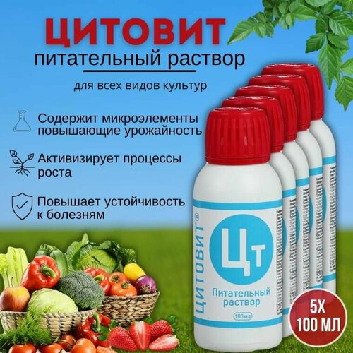 ���� ��������� ��������� ����� � �������� ��������, �������� ����� � �������������� ������� 100 ��, 5 �� ������ ������