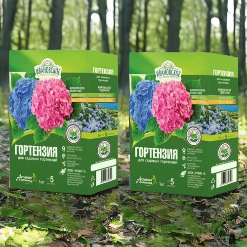 ���� ����������� ��������� ��� ������� ���������. ��������� 1�� / 2��. �������� ����������� ��������������. ������������ �������, ������, ��������� ����. ������ ������