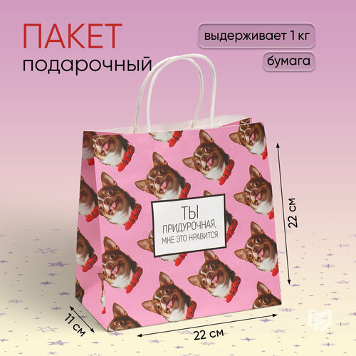 ���� ����� ���������� ��� �����������, ��� ��� ���������, 22 � 22 � 11 �� ������ ������