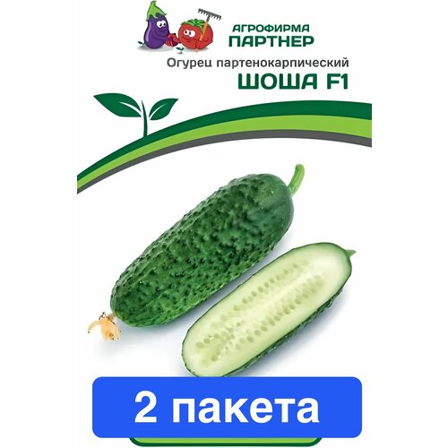 ���� ������ ������ ��������� ������� 