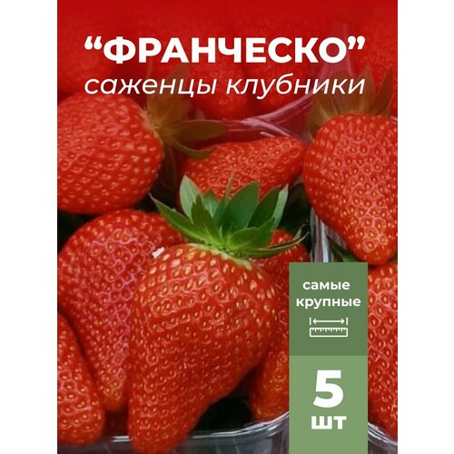 ���� �������� ����� ������������� ���������, �������/��������� �������� 5 �� ������ ������