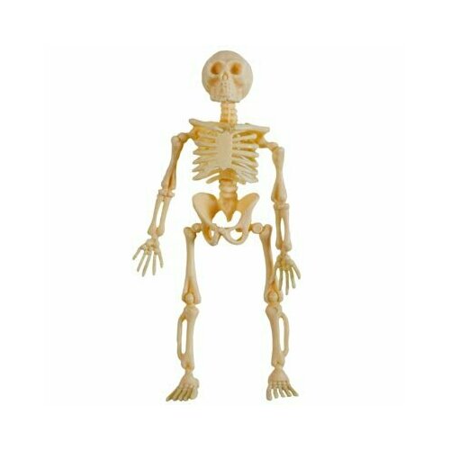 ���� ������ ������� 13�� 3��/G ������ ������