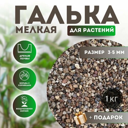 ���� ����� ������ ��� �������� ������� - ������ ������, �����, ��� ������� � �������� �����, 1 �� ������ 3,0-5,0 �� . ����� � ����� ��� ������� ��� ������������ ������� ��� ���������� ��� �������. ������ ������