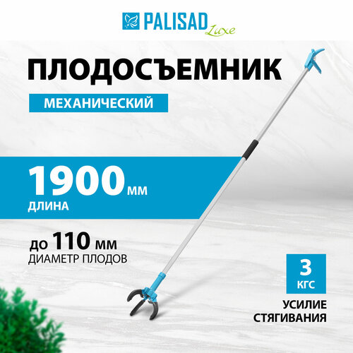    Palisad 1900 ,  , LUXE 64397   -     , -, 