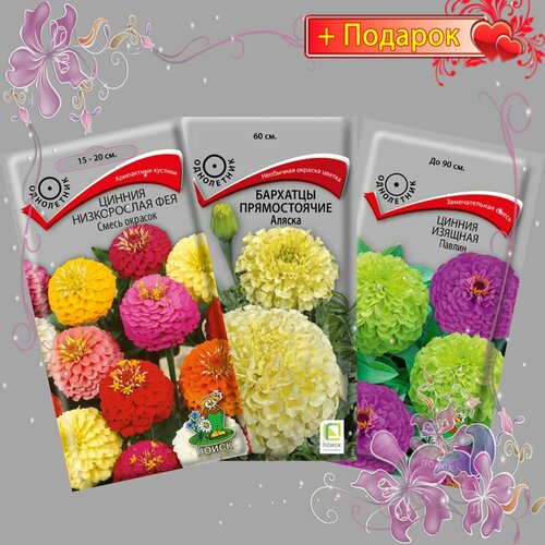 ���� ����� ����� ������, ������ �������, ������ �����������, �������� ������������, 3��. ������ ������