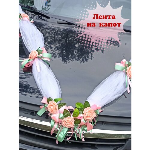 ���� ��������� ����� �� ������ � ������� � �������. ��������� �� ��������� ����������. ������ ������