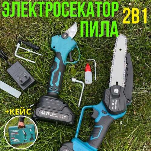 ���� ������� ��������������; ��������� �������������� 2 ��� � ��������� ������ ������