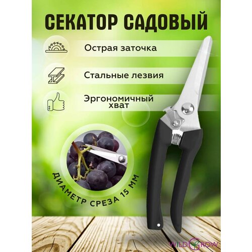 ���� W-GROW ������� ������� ��� ����, ������ � ��������� �������� ������ ������