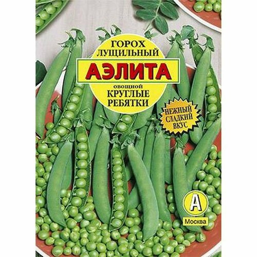 ���� ������ ����� ������� ������� ���������, �����������, (������) �/� 25� ������ ������