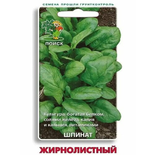 ���� ������ ������ 