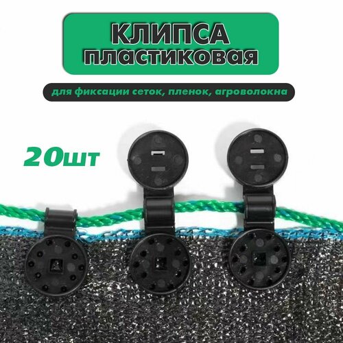 ���� ������ ��� ��������� ����� �������, ������. 20��. ������ ������