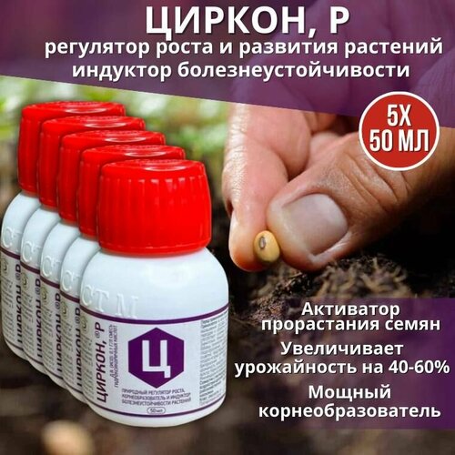 ���� ����������� ��������� ��������� ����� �������� ������ 50 ��, 5 �� ������ ������